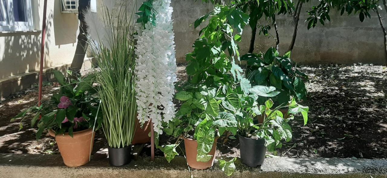 Apartamento Marin I Vinka Trogir Exterior foto
